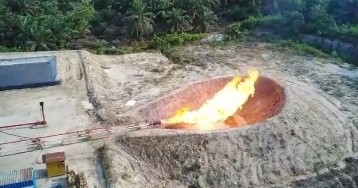 SKK Migas Apresiasi Keberhasilan PetroChina Jabung, Sumur Gemah-81 Produksi 4,8 MMSCFD Gas