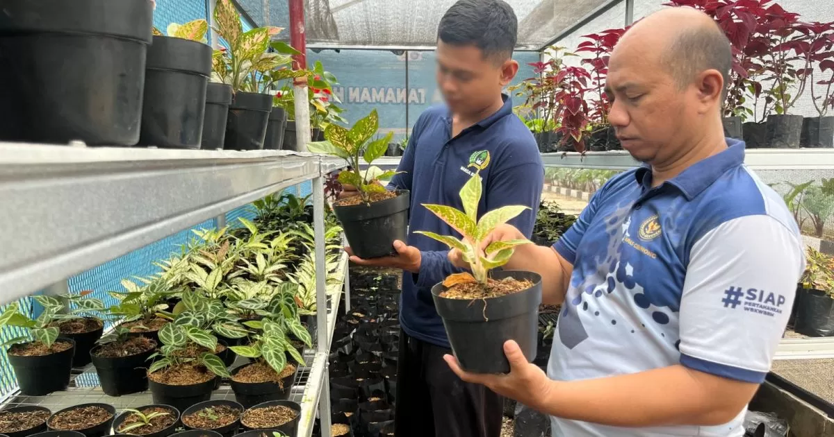 Lapas Cibinong Kembangkan Kebun Inovasi, Warga Binaan Dibekali Keterampilan Pertanian dan Peternakan