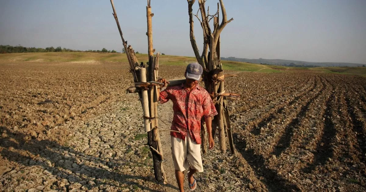 Antisipasi El Nino 2026, Pemerintah Perkuat Cadangan Pangan Nasional