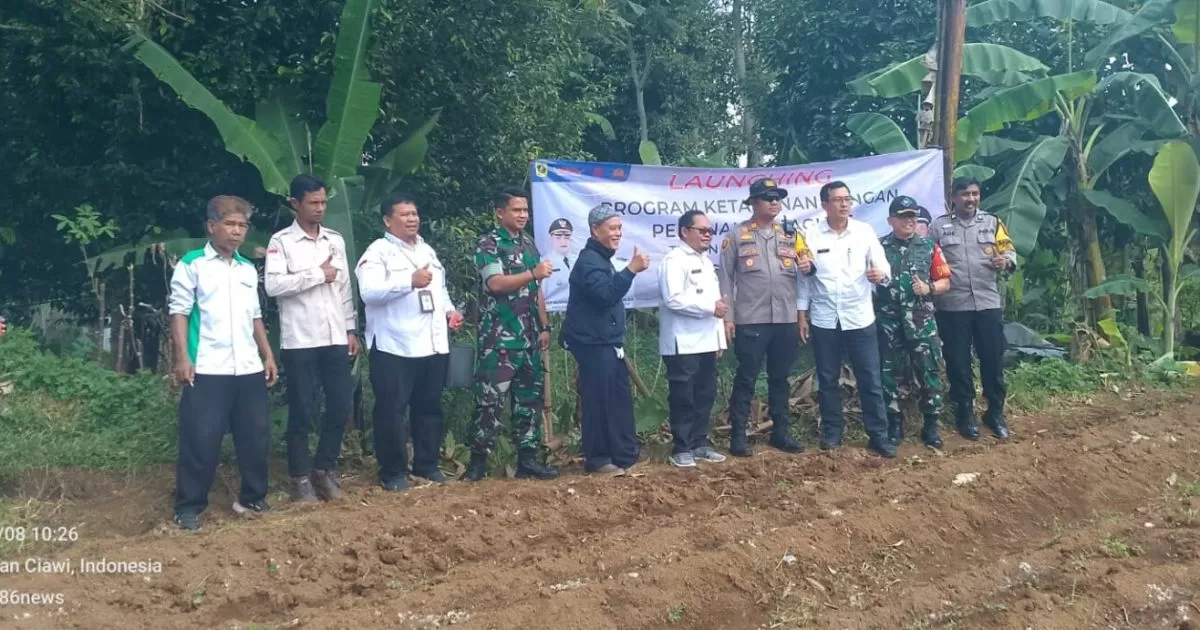 Desa Cileungsi Ciawi Luncurkan Program Jagung 1,5 Hektare, Dukung Swasembada Pangan 2026