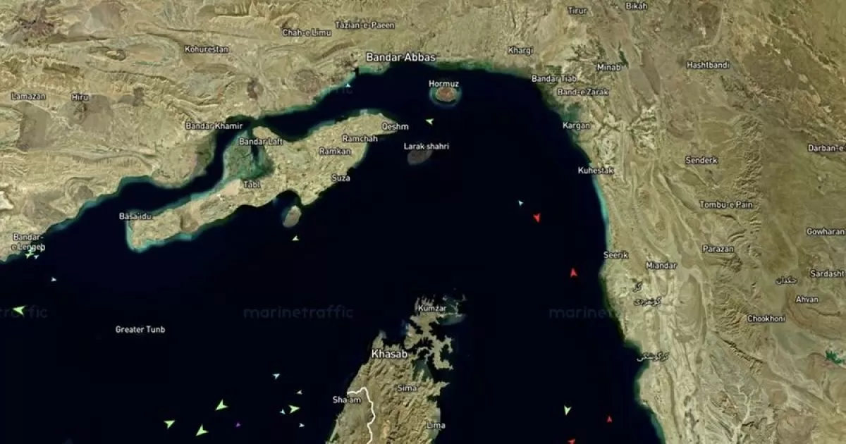 Blokade Selat Hormuz oleh AS Picu Krisis Energi Global, India dan China Paling Terdampak