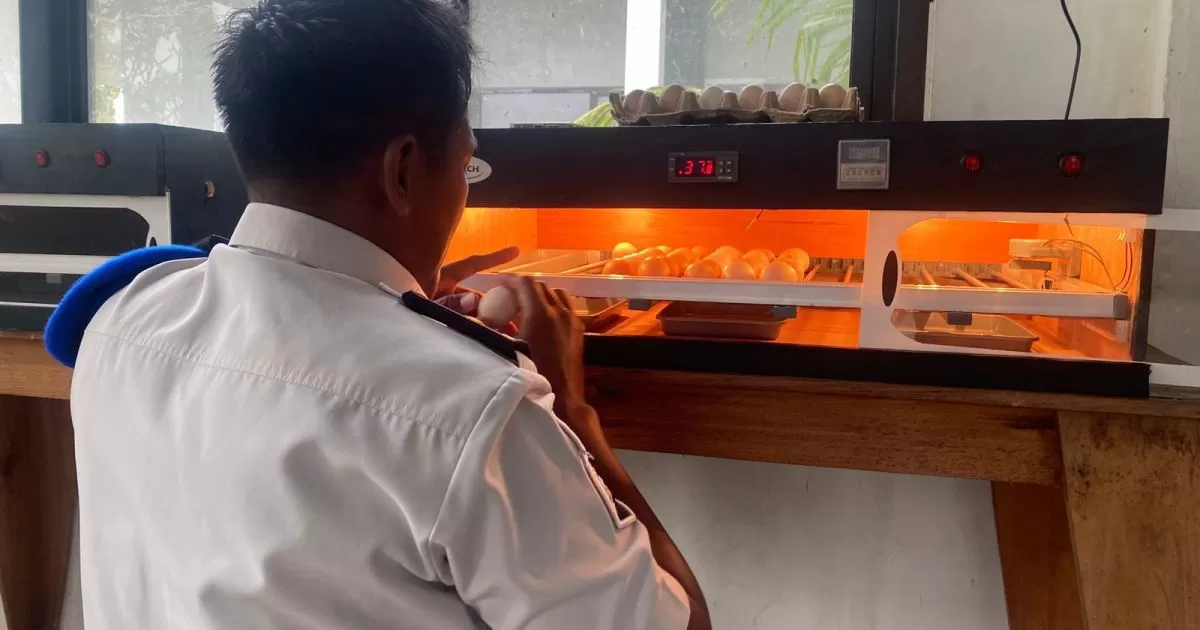 Lapas Terbuka Kendal Modernisasi Peternakan, Hadirkan Mesin Penetas Telur Otomatis untuk WBP