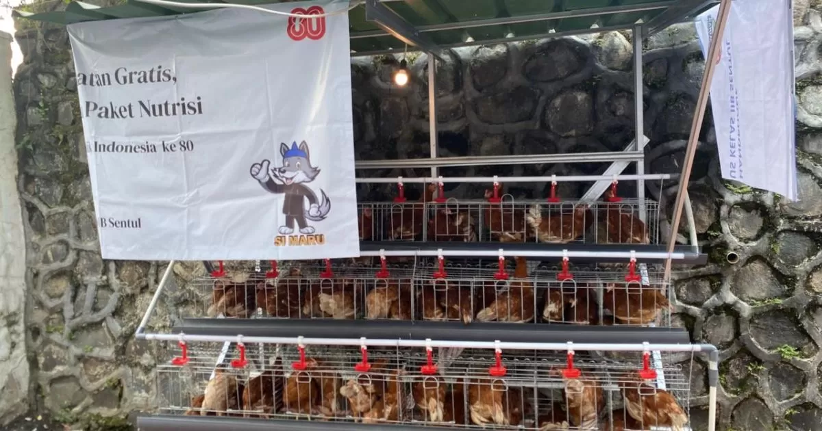 Kalapas Sentul Luncurkan Program Ternak Ayam Petelur, WBP Dibekali Keterampilan Ekonomi
