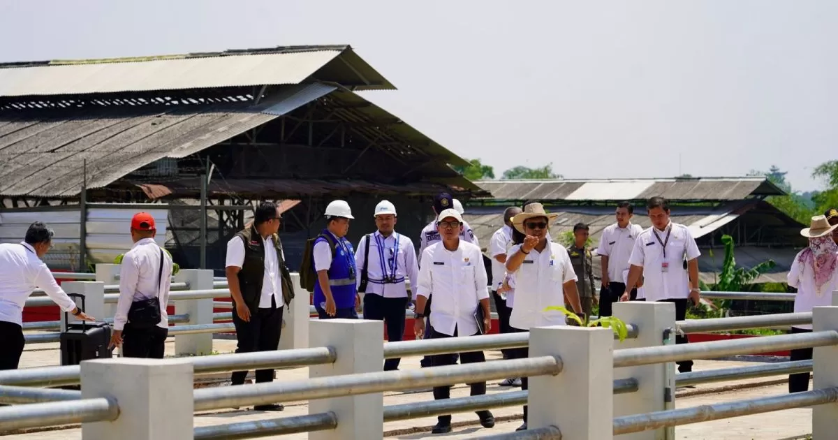 Pemkab Bogor Tinjau Progres Pasar Hewan Jonggol, Pastikan Kesiapan Operasional dan Infrastruktur