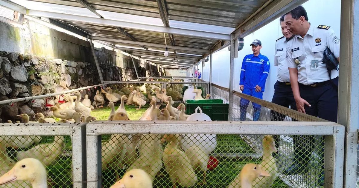 Lapas Cibinong Jadi Percontohan Program Ketahanan Pangan Pemasyarakatan