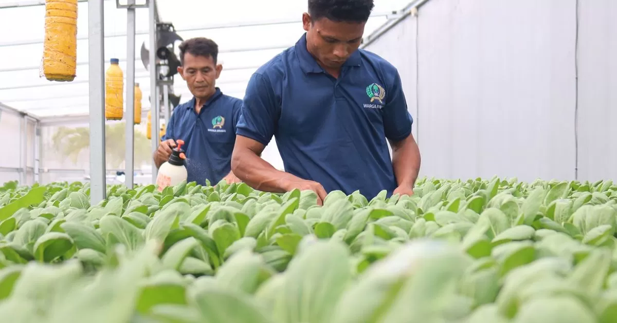 Lapas Cibinong Kembangkan Pertanian Produktif untuk Tingkatkan Kemandirian Warga Binaan
