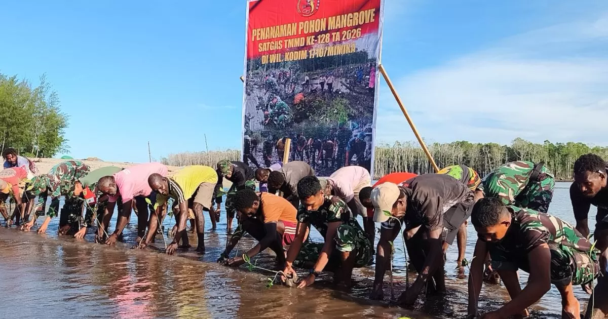 Satgas TMMD Mimika Tanam Ribuan Mangrove Bersama Warga