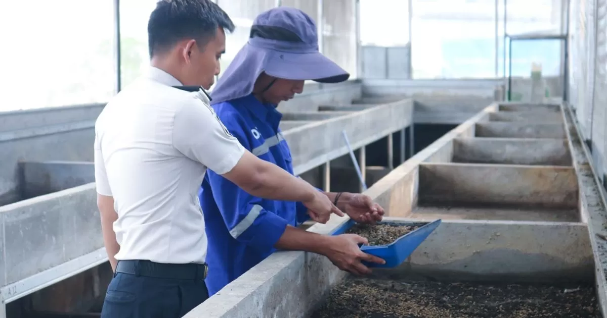 Lapas Cibinong Perkuat Ketahanan Pangan Lewat Kebun Inovasi, Warga Binaan Dilatih Beternak dan Budidaya Maggot