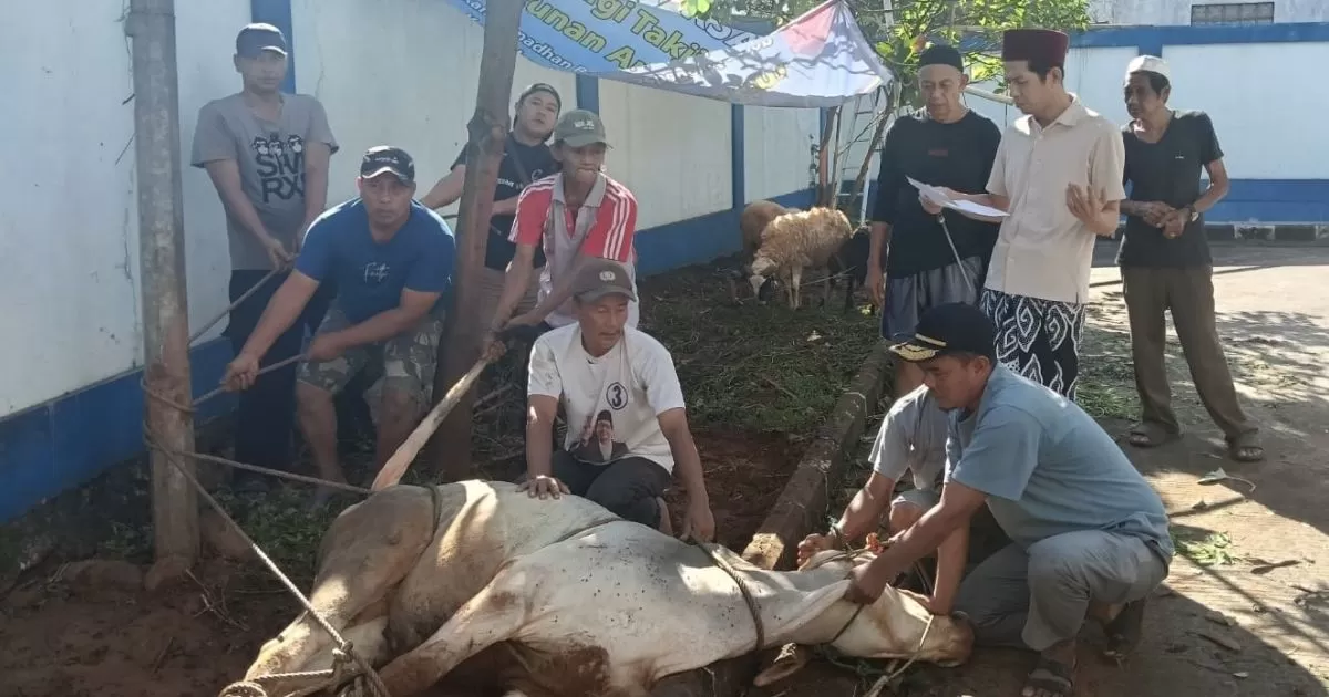 PWI Kabupaten Bogor Sembelih 1 Sapi dan 9 Kambing pada Iduladha 1447 H