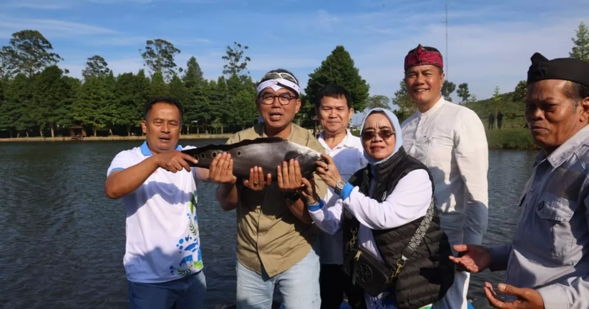 Peneliti FMIPA UI Temukan Dominasi Ikan Alien di Telaga Saat, Pemkab Bogor Disarankan Lakukan Eradikasi