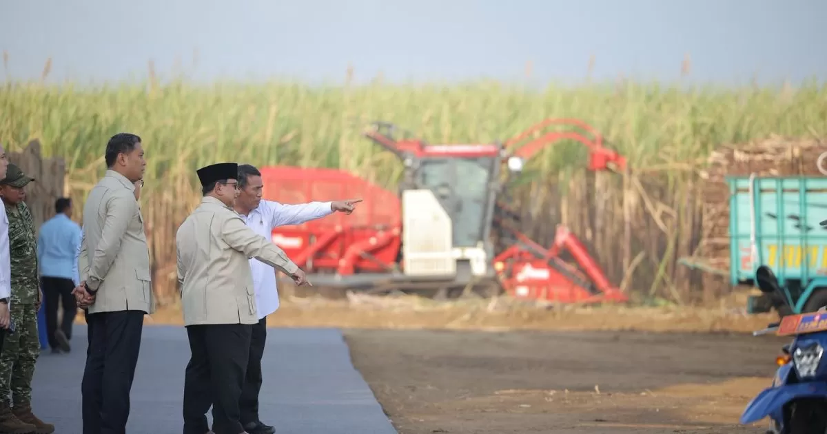 Prabowo Targetkan Indonesia Swasembada Gula dalam Dua Tahun