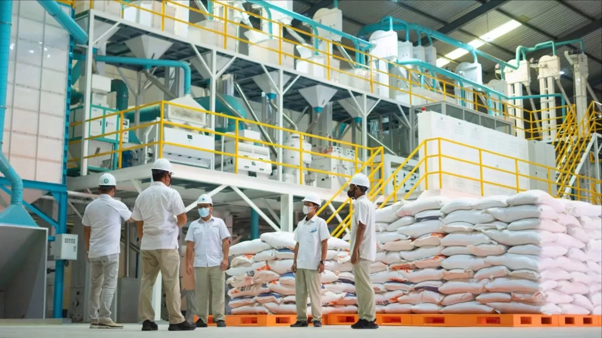Bantuan Pangan Beras Mulai Disalurkan 17 Agustus 2026, 33,24 Juta KPM Terima 10 Kg Beras per Bulan