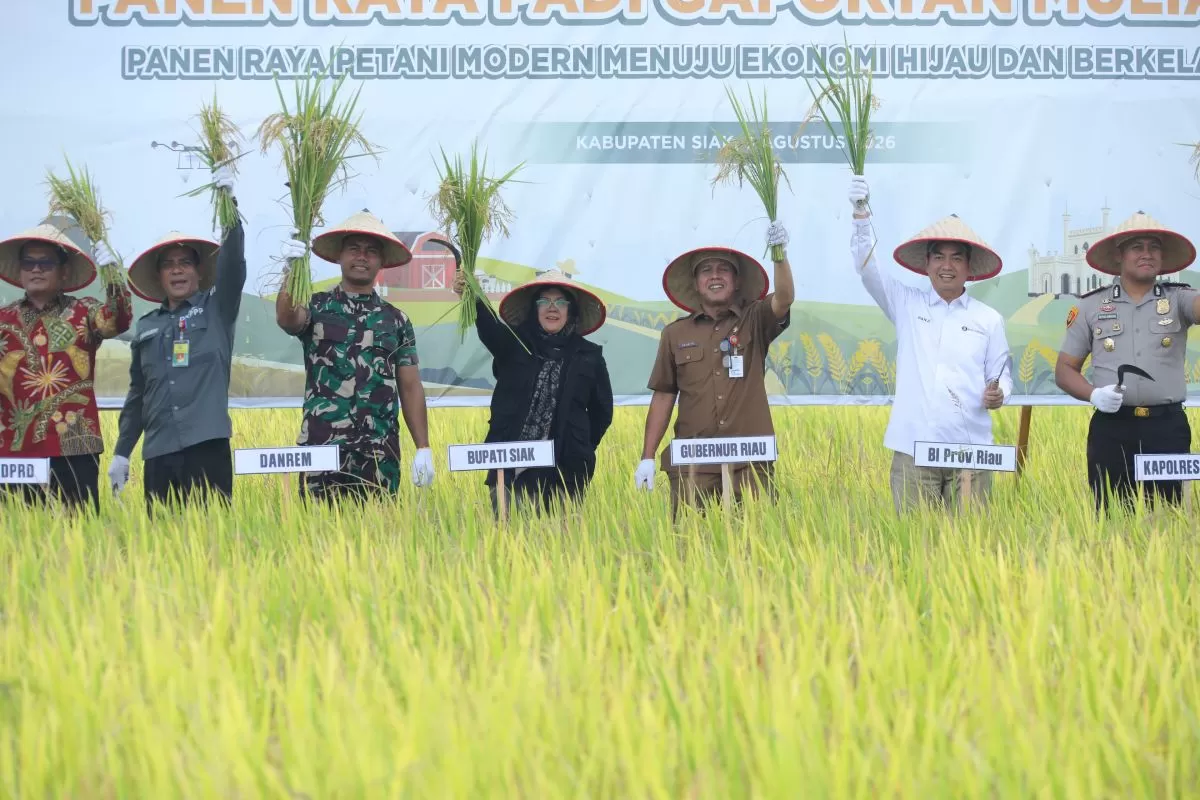 Smart Farming BI Riau Tingkatkan Produktivitas Padi Petani Siak hingga 10 Persen