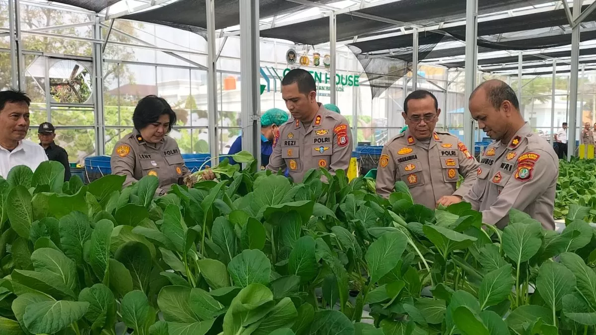 Green House Hidroponik Polda Metro Jaya Hasilkan 82 Kilogram Pakcoy, Perkuat Ketahanan Pangan