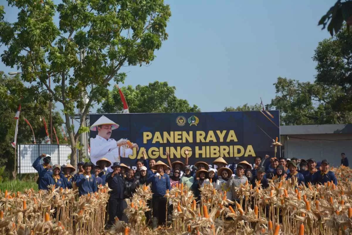 Lapas Terbuka Kendal Panen Perdana 2 Ton Jagung Hibrida dari Lahan 4.200 Meter Persegi
