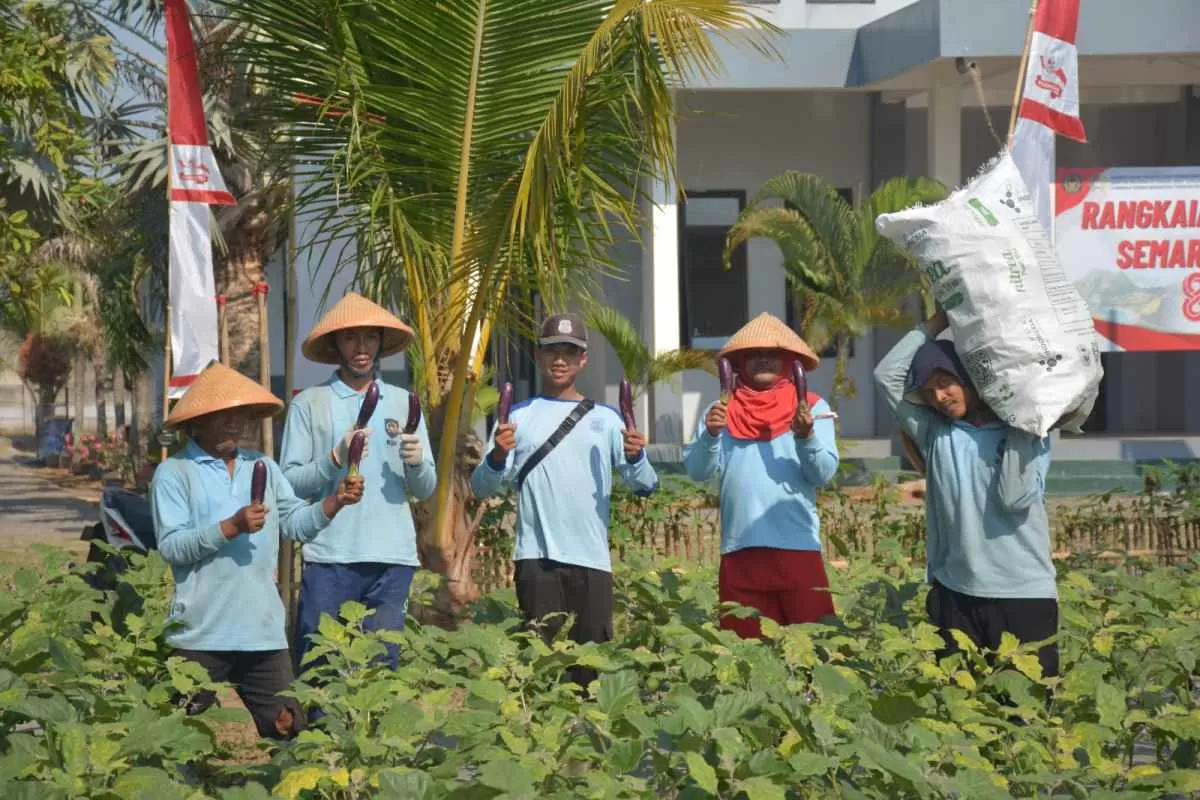 Lahan 2.500 Meter Persegi Mulai Produktif, Lapas Terbuka Kendal Panen Terong Ungu