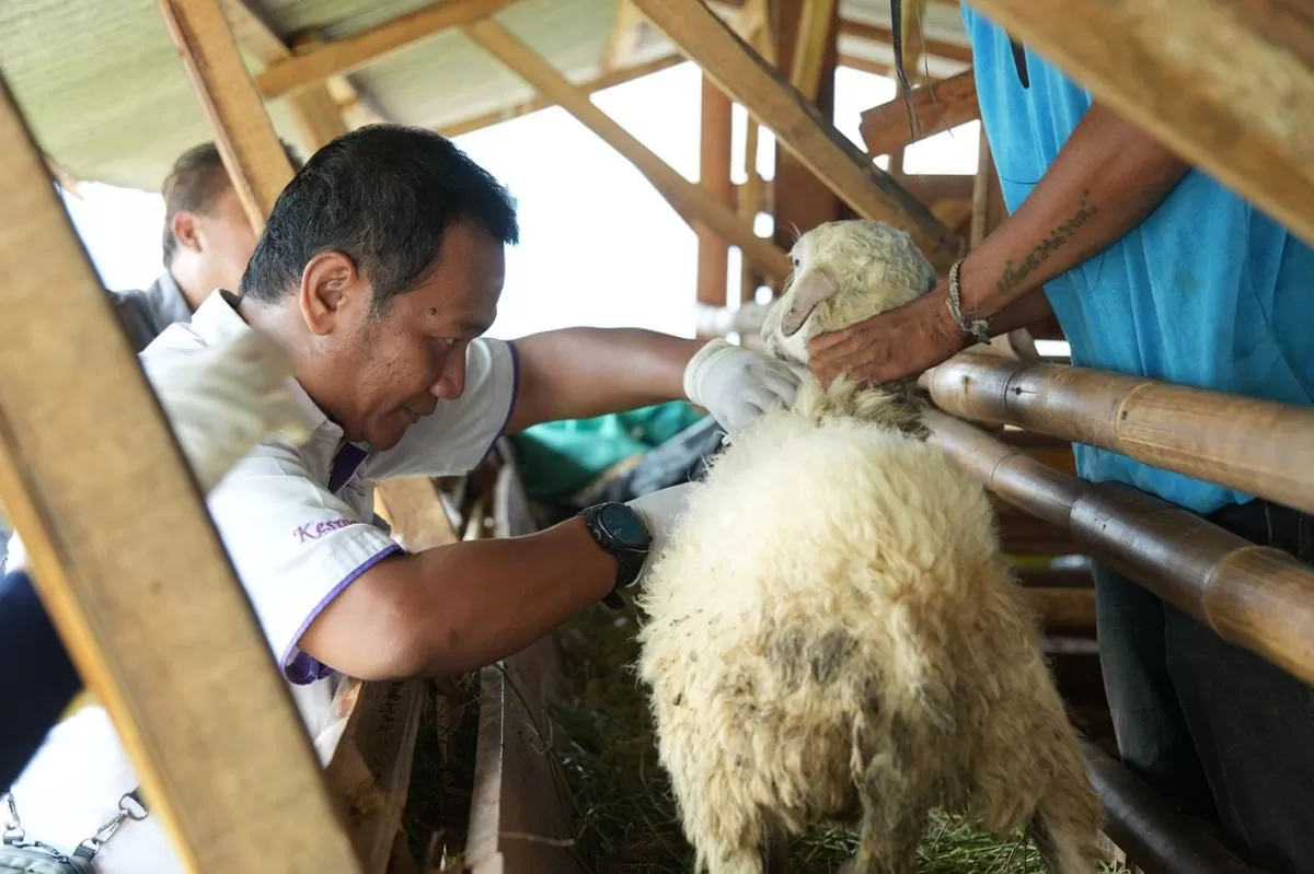 Peternakan Jadi Program Kemandirian, Lapas Cibinong Pastikan Kesehatan Ternak Terjaga