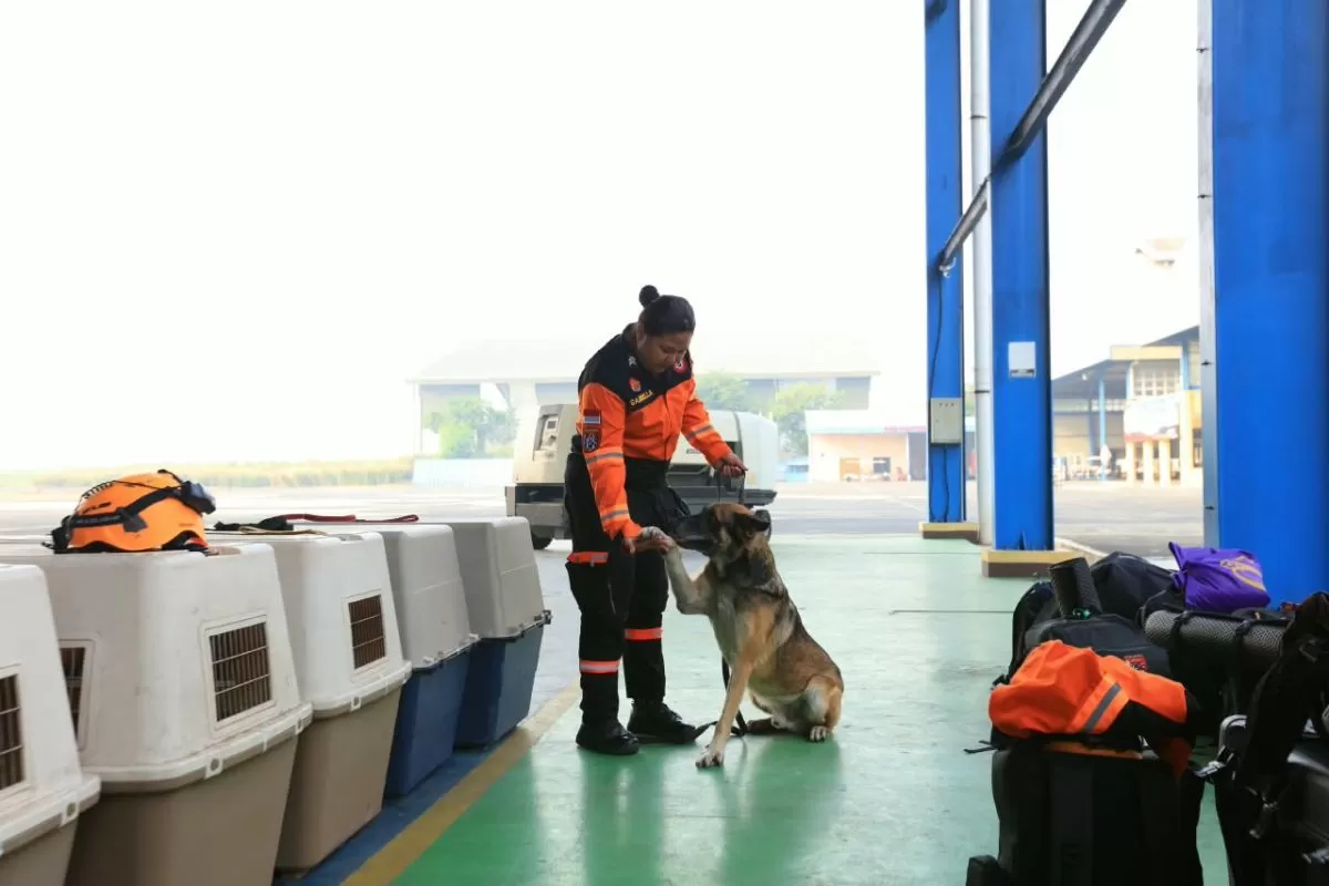 Polri Kerahkan 10 Anjing K9 dan Tim SAR Bantu Penanganan Gempa NTT