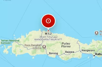 BMKG Catat 6.397 Gempa Susulan, Flores Kembali Diguncang Gempa M5,0