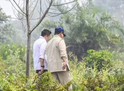 Prabowo Tinjau Karhutla di Riau dan Sumsel, Pemerintah Perkuat Penanganan di Empat Provinsi