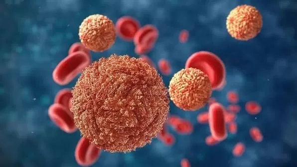 Pemprov Bali Pastikan Pulau Dewata Aman di Tengah Peringatan Zika, Wisatawan Diminta Tetap Waspada
