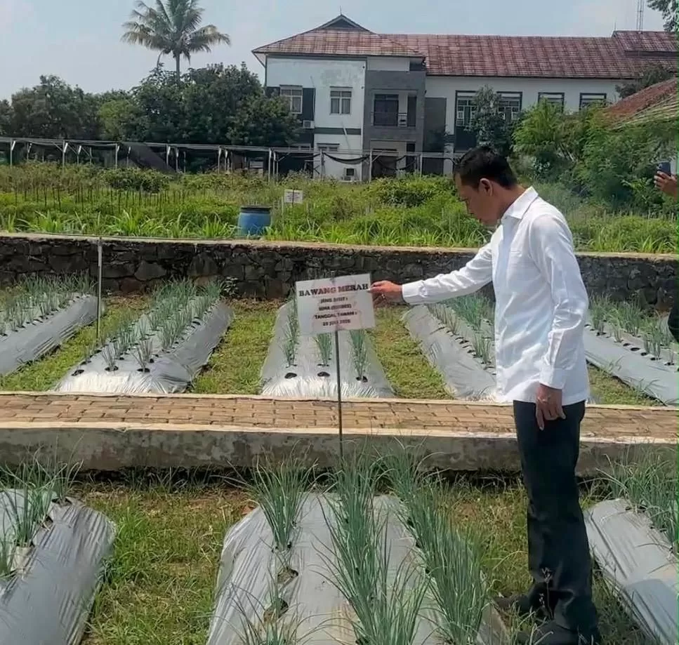 Petani Bogor Terancam Kekeringan, Jaro Ade Dorong Mitigasi dan Pangan Murah