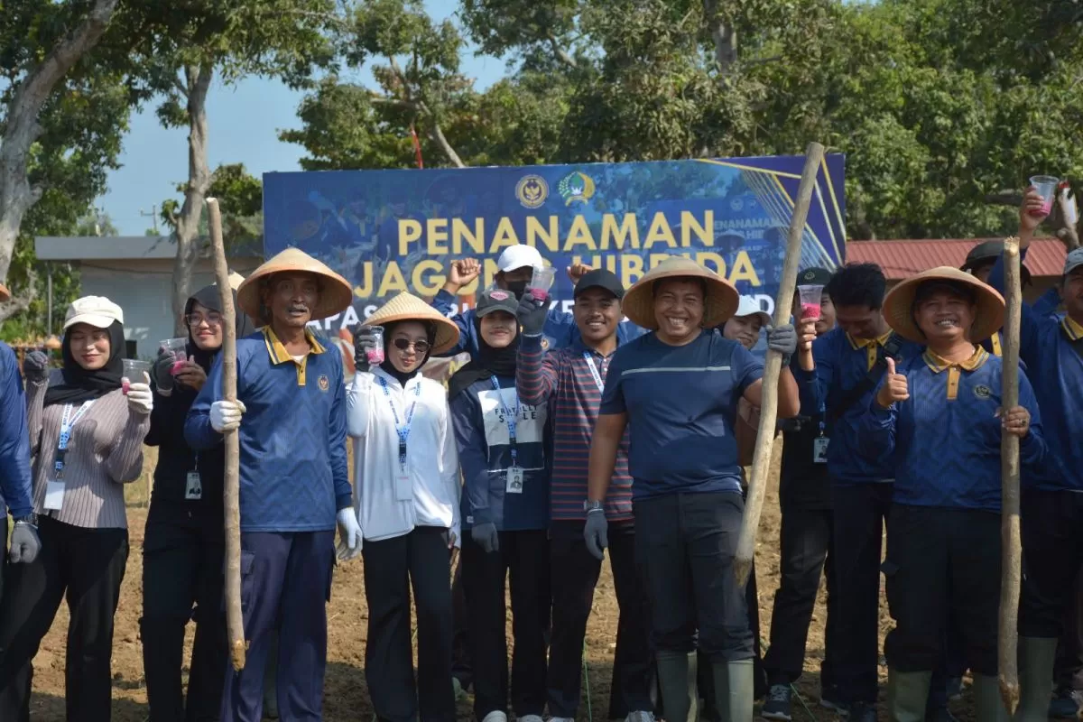Usai Panen Langsung Tanam Lagi, Lapas Terbuka Kendal Optimalkan Lahan Produktif