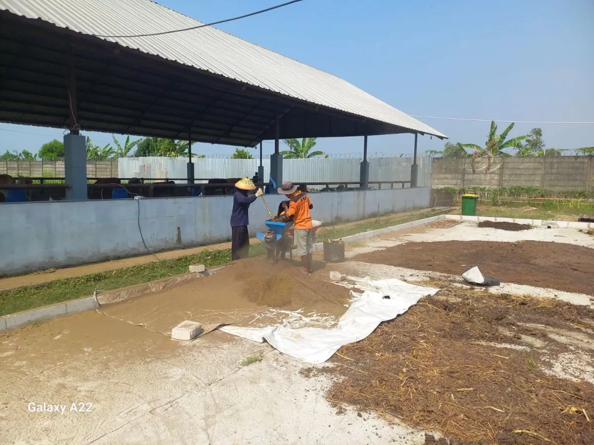 Permintaan Pasar Meningkat, Lapas Terbuka Kendal Genjot Produksi Pupuk Kohe