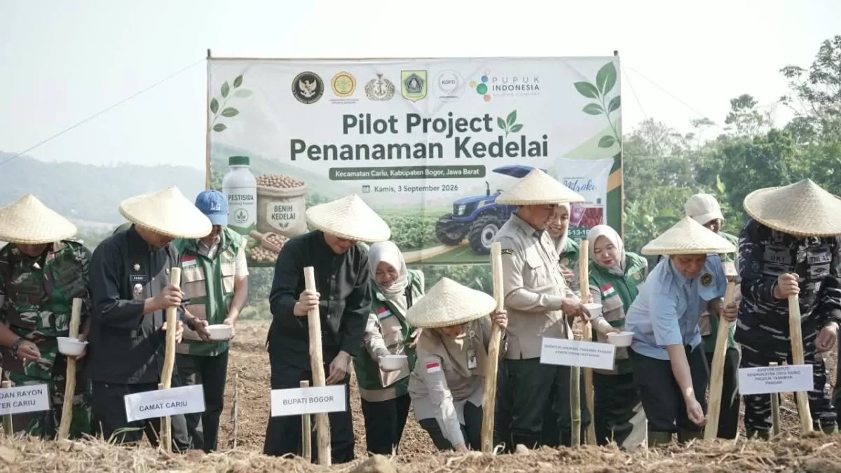 Pemkab Bogor Tanam Kedelai di Lahan TNI AL Cariu, Dorong Ketahanan Pangan