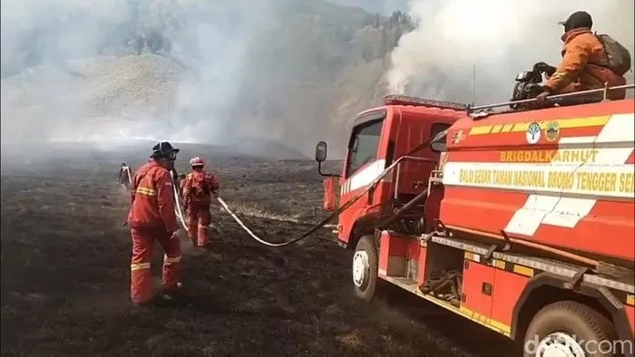 Bukit Teletubbies Terbakar, Wisata Gunung Bromo Ditutup Total hingga Pemberitahuan Berikutnya