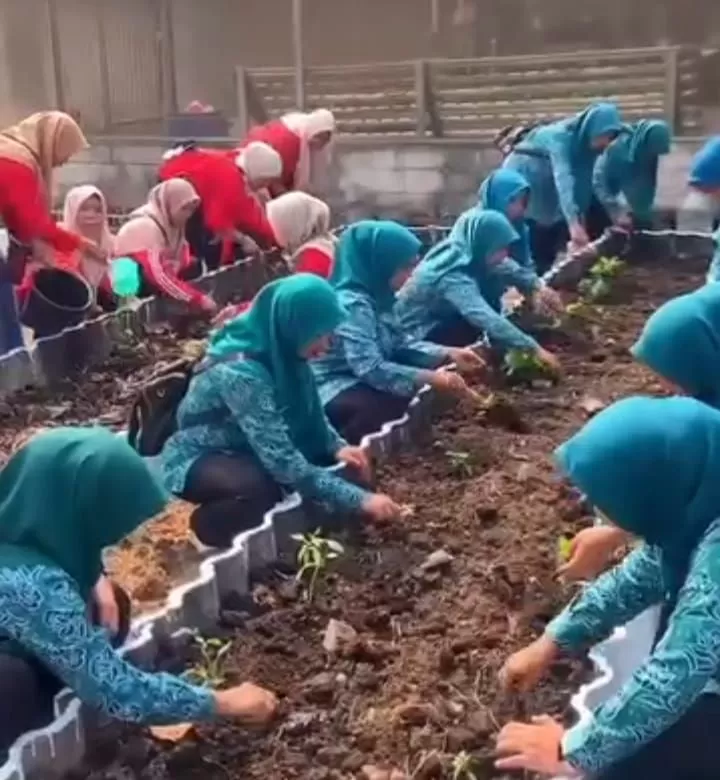 Manfaatkan Lahan Warga, Pemdes Dayeuh Dorong Budidaya 100 Pohon Cabai