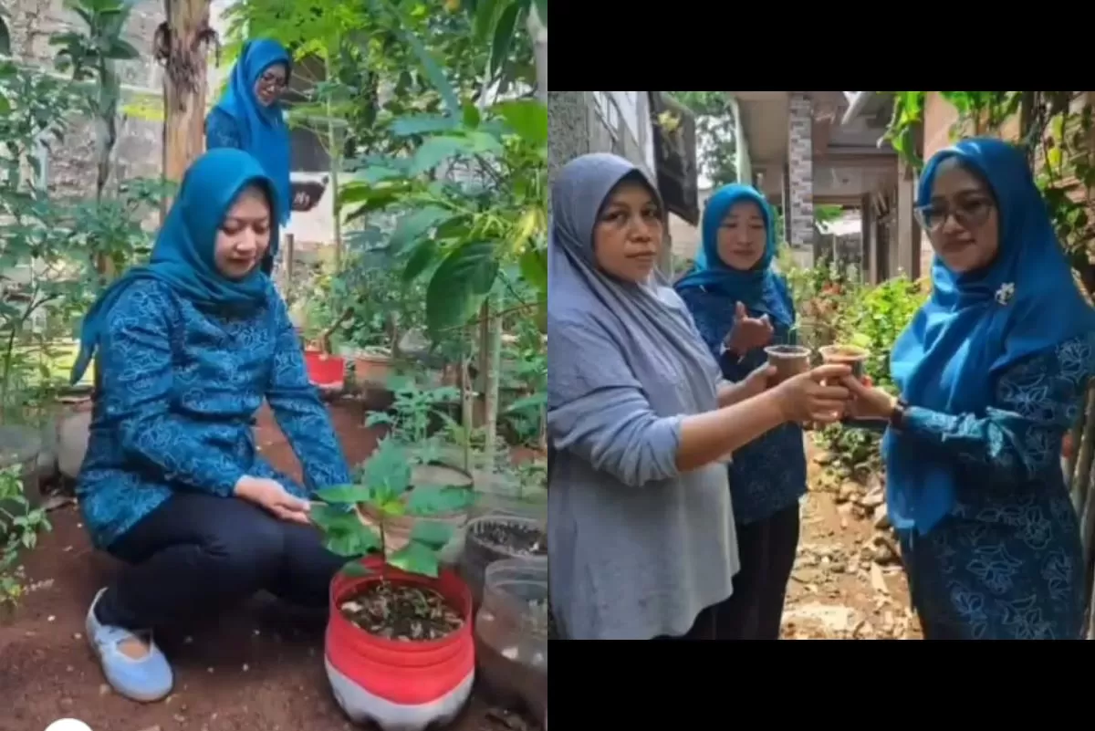 Gertam di Gunungsari, 100 Pohon Cabai Ditanam untuk Dukung Ketahanan Pangan