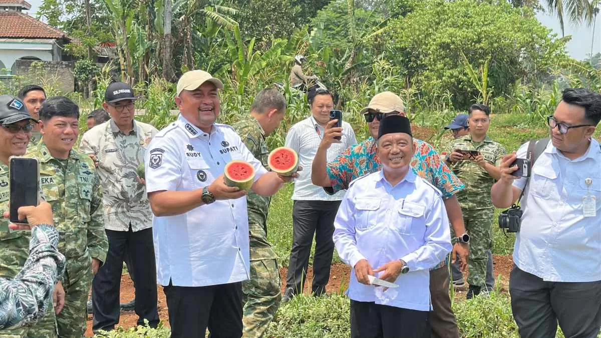 Panen Semangka Inul, Rudy Susmanto Dorong Lahan Bomang Jadi Sumber Ekonomi Warga