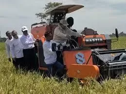 Pemerintah Pastikan Stok Beras Nasional Aman, Produksi Padi Capai 53,87 Juta Ton