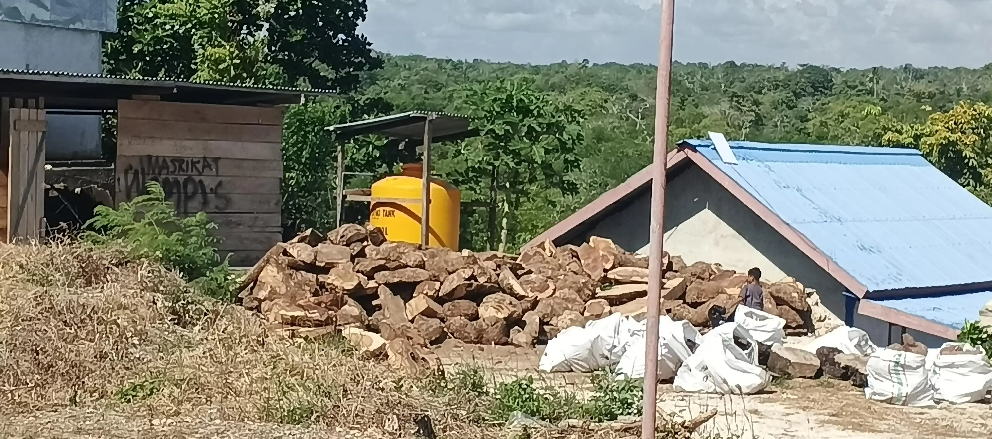 Pemanfaatan Limbah Kayu “Tomor” Sesuai Aturan, Bernilai Ekonomi bagi Masyarakat