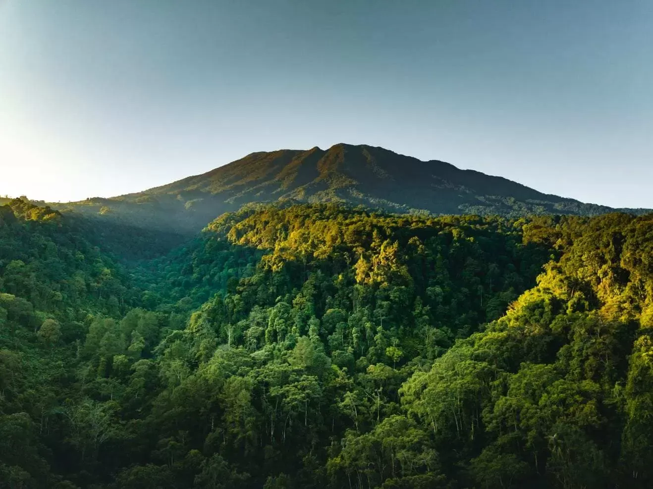 Dari Gunung Gede hingga PTPN, EIGER Adventure Land Bangun Destinasi Ekowisata untuk Indonesia