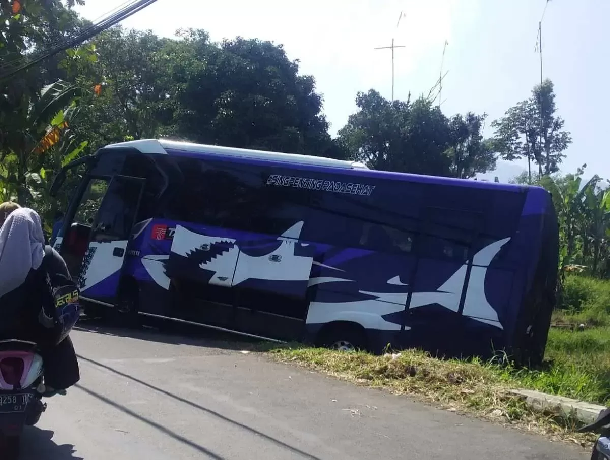 Bus Pariwisata dari Jakarta Terperosok ke Sawah di Puncak Bogor, Diduga Tak Kuat Menanjak