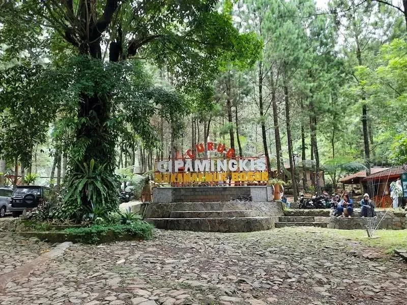 Curug Cipamingkis: Pesona Tersembunyi di Tengah Keindahan Alam Jonggol