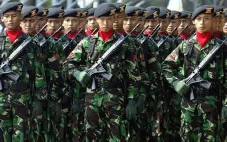 TNI AD Buka Rekrutmen Tamtama dan Bintara 2025, Target 24.000 Prajurit Baru! Cek Syarat dan Cara Daftarnya di Sini