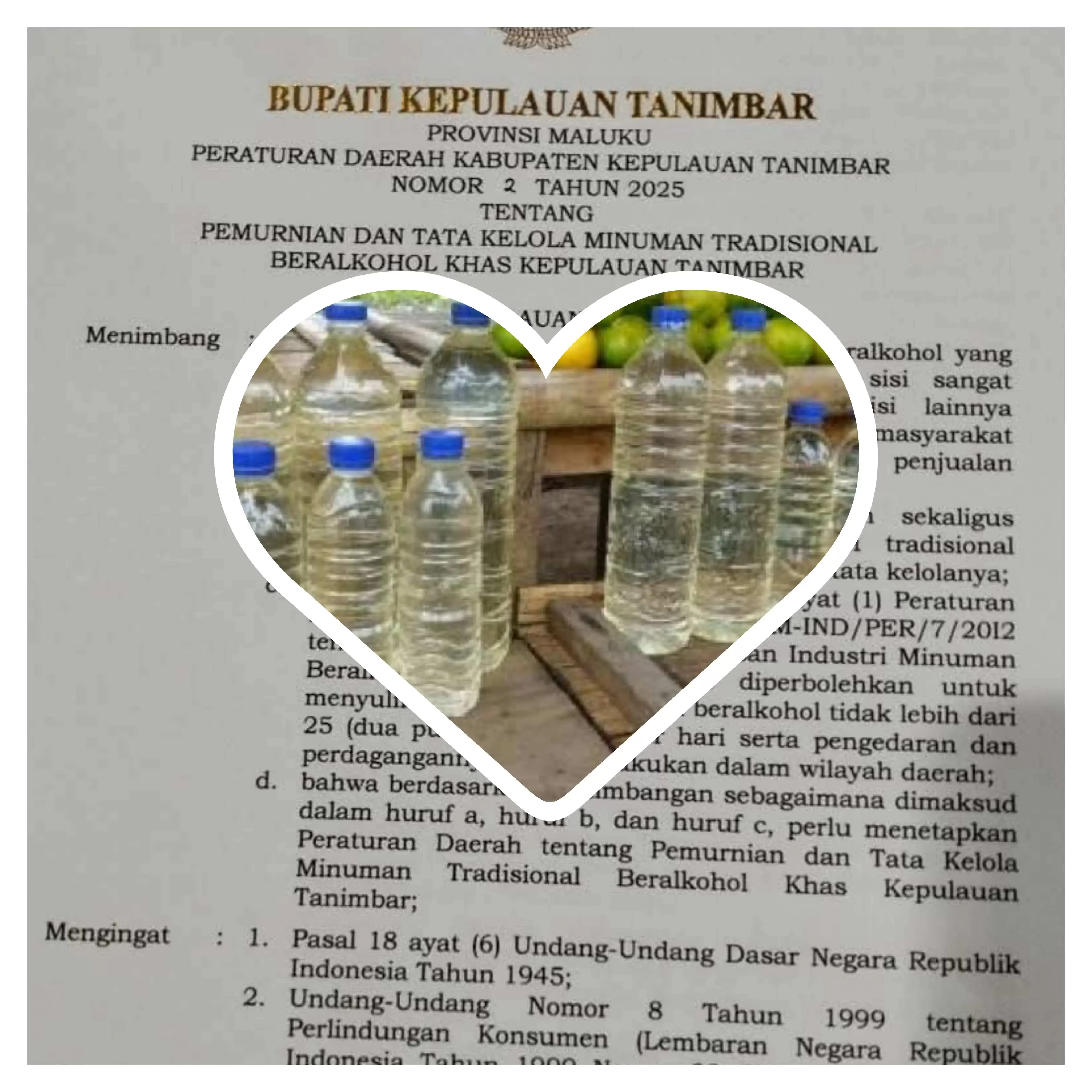 Pemda Tanimbar Resmi Legalkan Sopi: Langkah Strategis Dorong Ekonomi Lokal dan Lestarikan Tradisi
