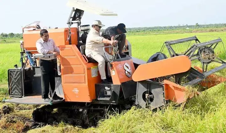 Produksi Beras Indonesia Melonjak, Impor dari Thailand Dihentikan: Diakui USDA