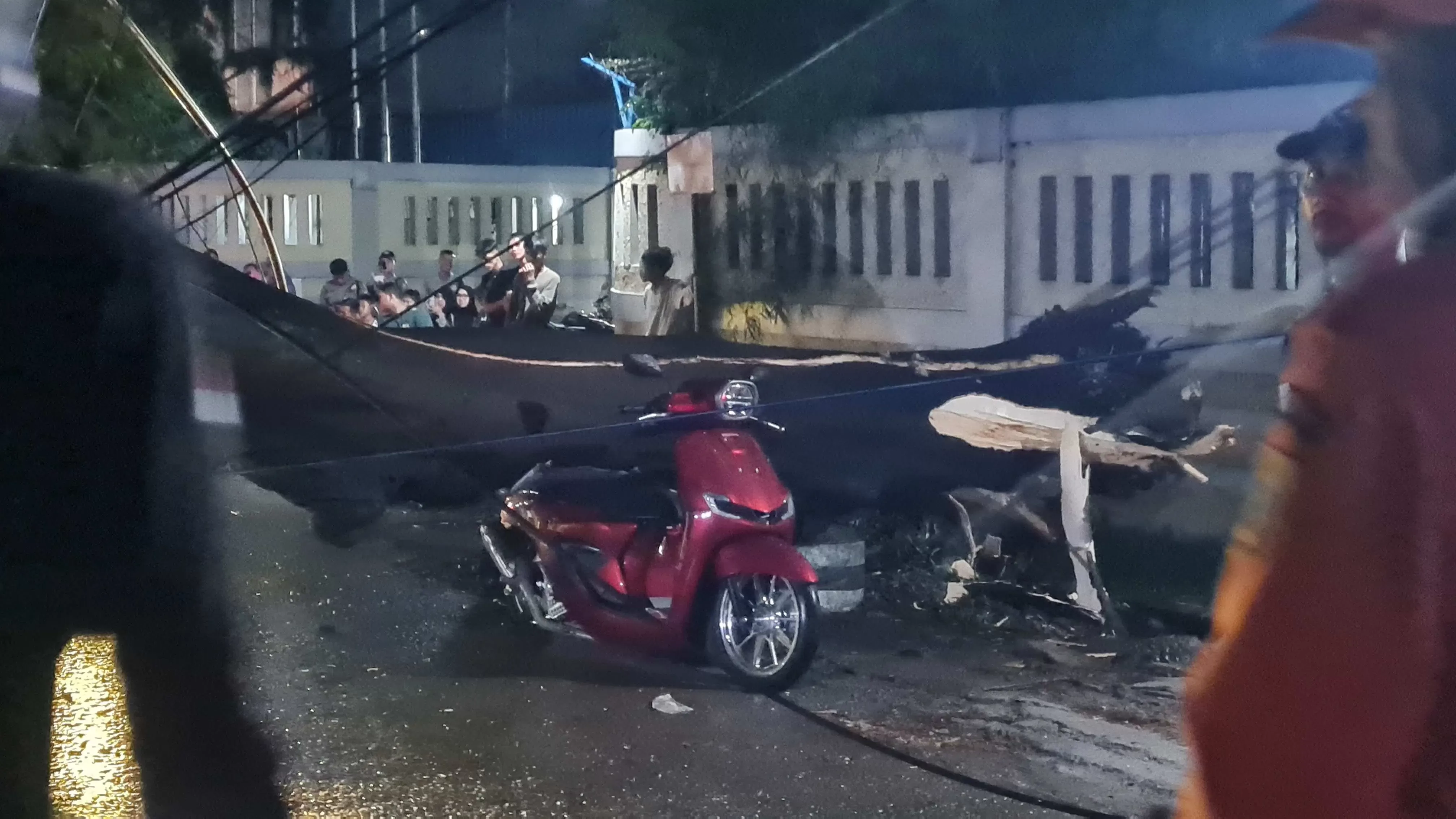 Pohon Besar Tumbang di Jalan Mercedes Benz Gunung Putri, 3 Orang Luka dan Lalu Lintas Macet 2 KM