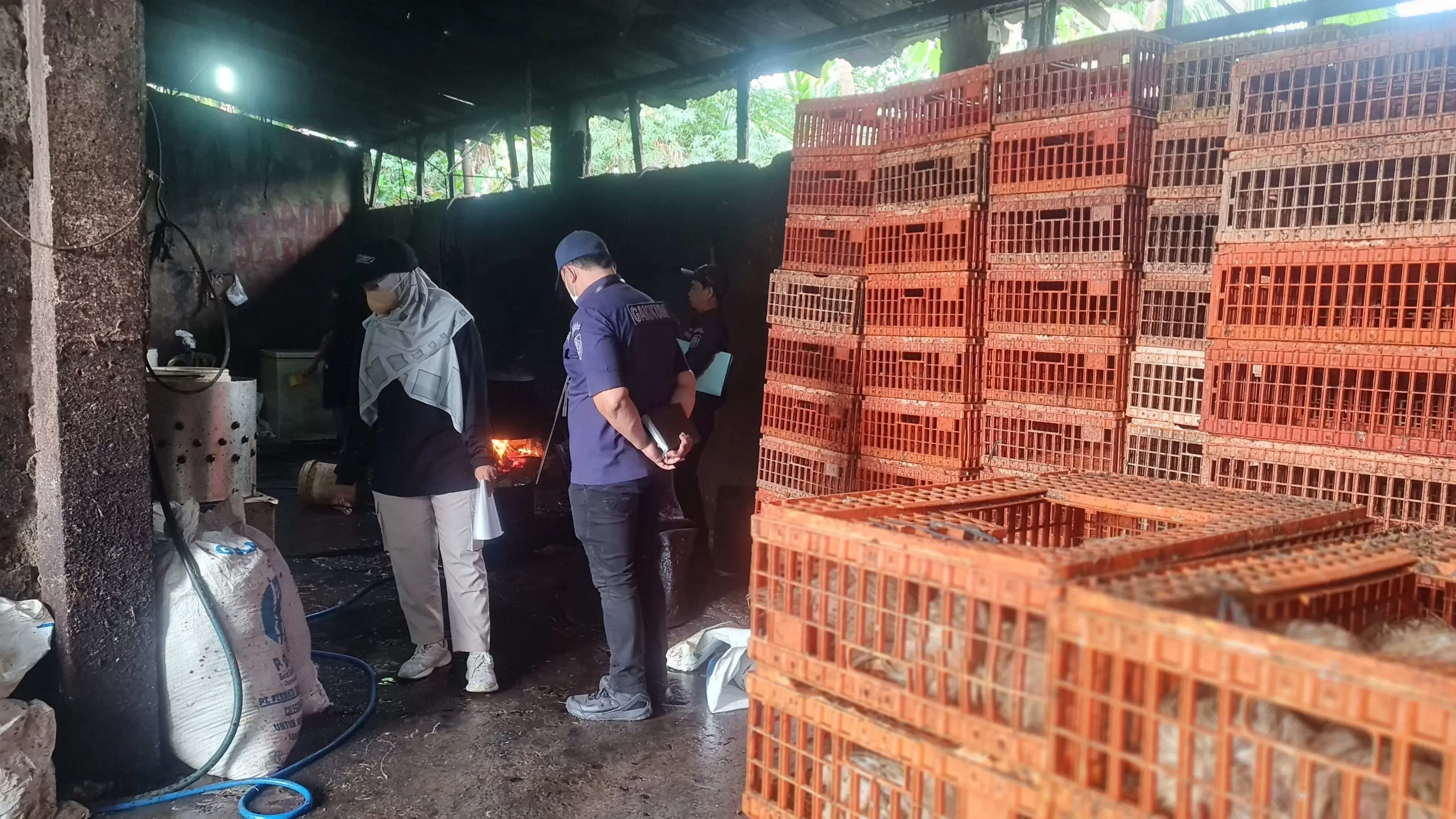 DLH Kabupaten Bogor Sidak Tempat Pemotongan Ayam di Wanaherang, Tindak Lanjuti Keluhan Warga