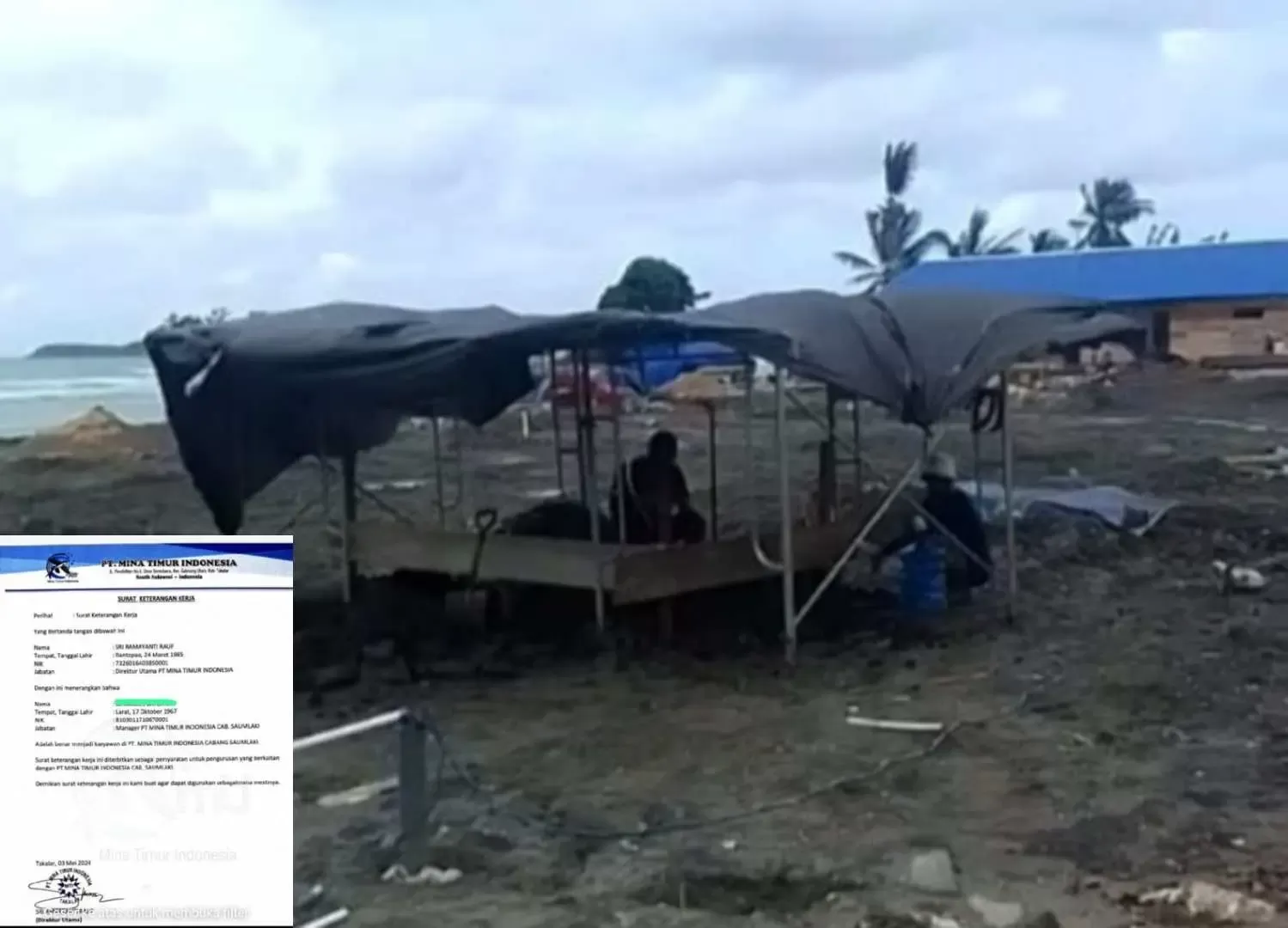 Pemecatan Sepihak! Manager PT Mina Timur Indonesia Cabang Saumlaki Kecewa