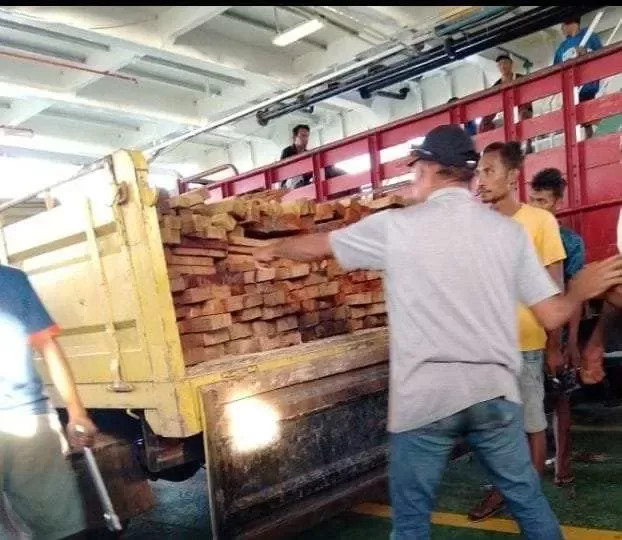 Kekeliruan Besar Kepala Syahbandar Larat: Dugaan Ketidaktahuan Regulasi Izin Kayu