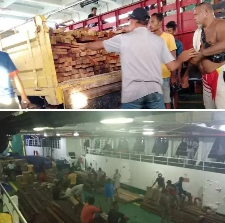 Dinas Kehutanan Maluku Diminta Tertibkan Pengusaha Kayu Ilegal di Kota Larat