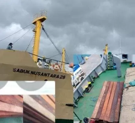 Dugaan Ilegal Logging di Maluku Barat Daya: Oknum TNI Diduga Terlibat, Penegakan Hukum Dipertanyakan