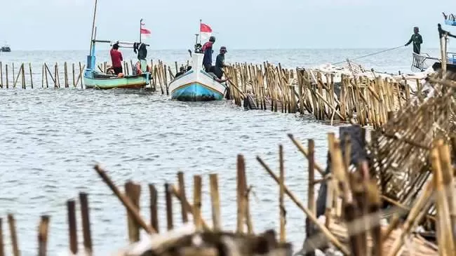 TNI AL dan KKP Bongkar Pagar Laut Misterius di Tangerang