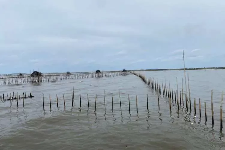 Misteri Pagar Laut di Tangerang: KKP Selidiki Identitas Pemilik dan Dampaknya