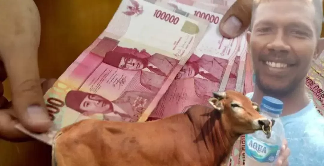 Praktik Korupsi di Setda Kepulauan Tanimbar Terkuak, SPPD Fiktif hingga Utang Sapi Belum Terbayar